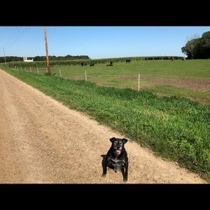 Meet your Posher, Macy